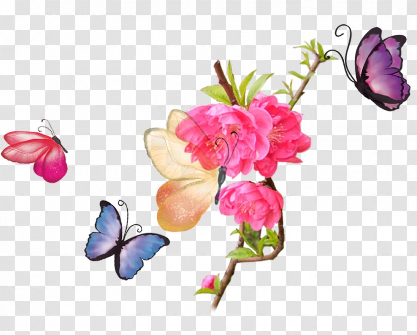 Butterfly Clip Art - Flowering Plant - Colorful Transparent PNG