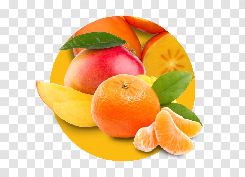 Clementine Mandarin Orange Tangerine Peel Blood - Grapefruit Transparent PNG