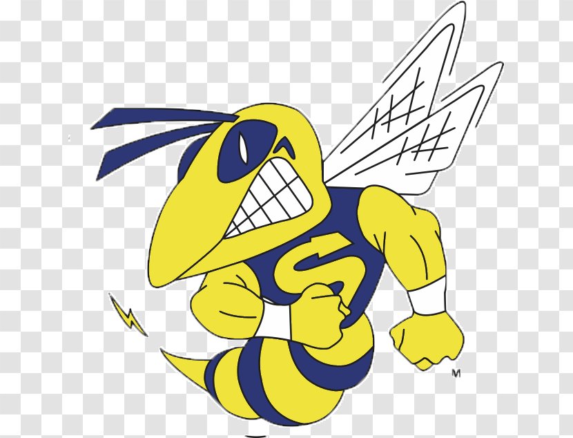 Saline High School National Secondary Hornet The Post - 2016 Hornets Transparent PNG