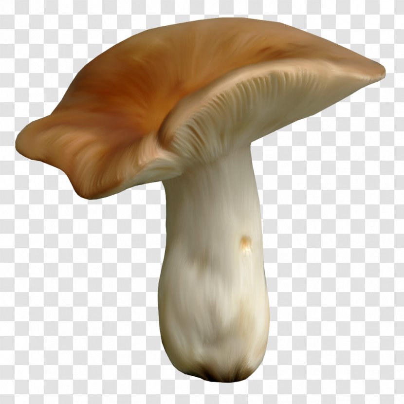 Mushroom Fungus Clip Art - Ingredient Transparent PNG