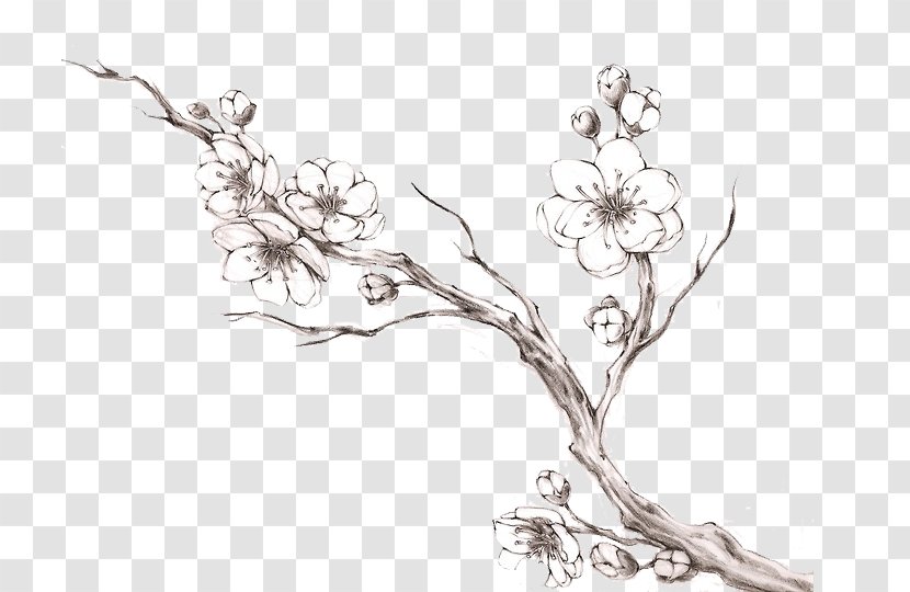 Drawing Jewellery Twig Line Art - Flower - Sakura Tree Transparent PNG