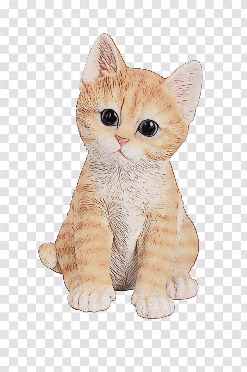 Tabby Cat Kitten Felidae Cuteness - Toy Transparent PNG