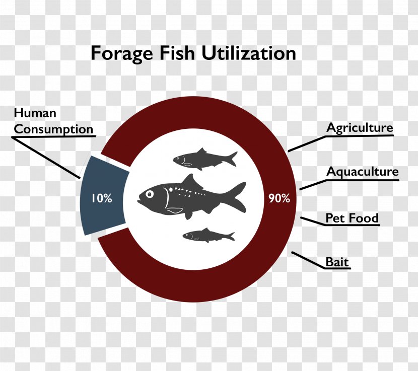 Forage Fish Aquaculture Food - Logo - Text Transparent PNG