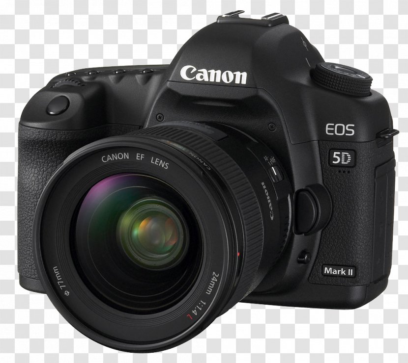 Nikon D3300 D3400 D3200 D5300 Digital SLR - Single Lens Reflex Camera - Fotokamera Transparent PNG