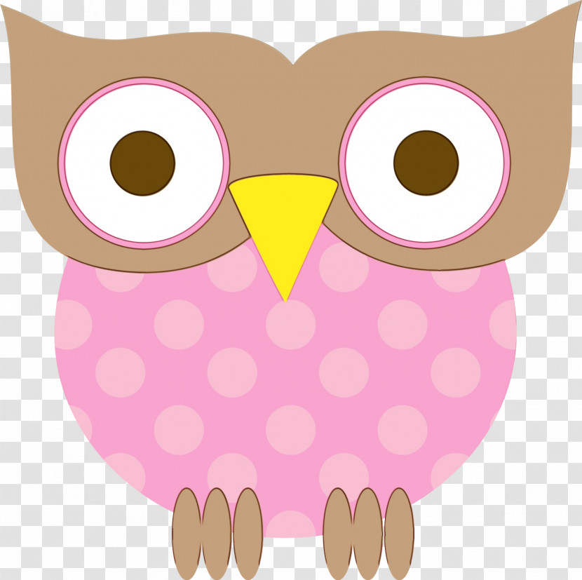 Owls Birds Beak Owl M Snout Transparent PNG