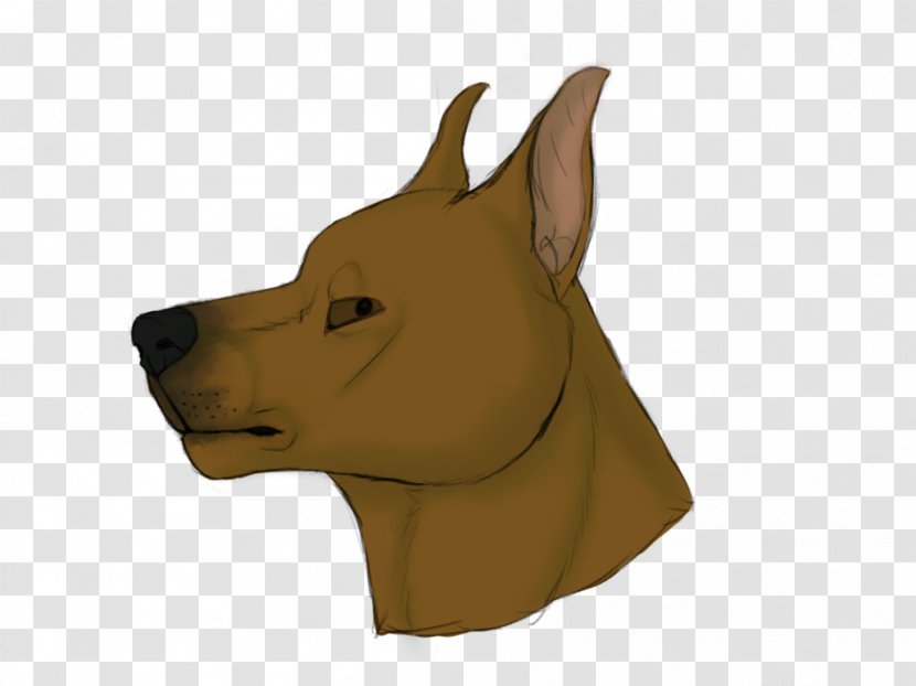 Dog Breed Snout Character Nose - Carnivoran - German Pinscher Transparent PNG
