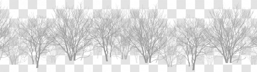 White Black - Snow Bifurcated Dead Tree Forest Transparent PNG