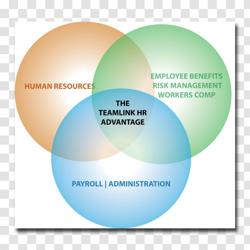 Brand Diagram - Online Advertising - Design Transparent PNG