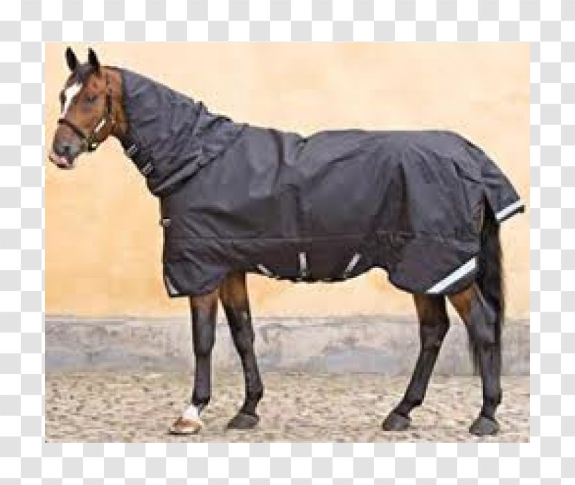 Horse Mare Stallion Weight Pack Animal - Livestock - Rambo Transparent PNG