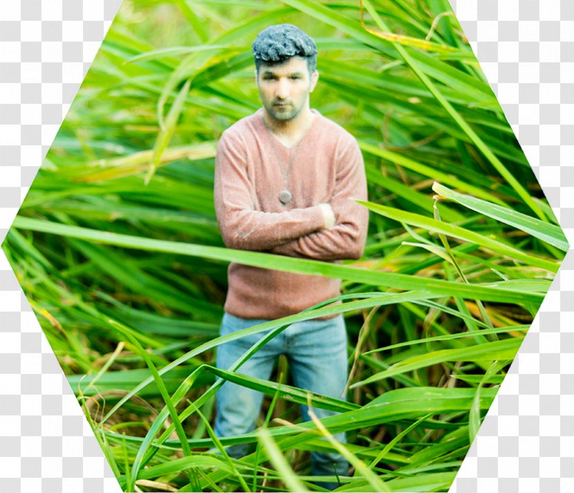 3D Selfie Printing Scanning Code3D Lawn - Plant - Radiolaria Transparent PNG
