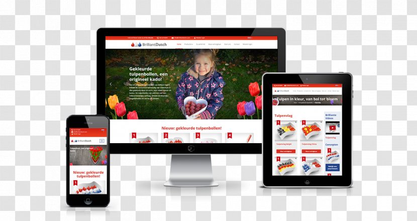 Westwoud Responsive Web Design Khuyến Mãi Brand - Display Advertising - Bankbook Transparent PNG
