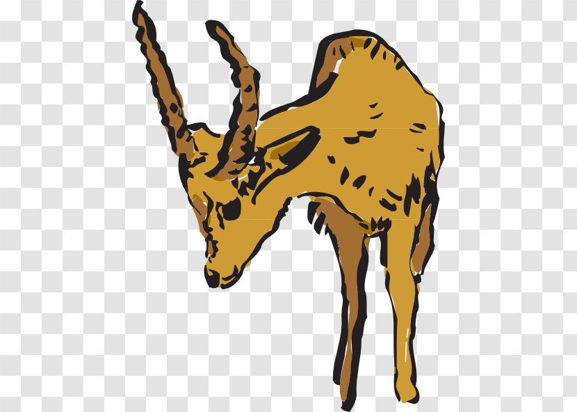 Antelope Canyon Pronghorn Deer Clip Art - Fauna Transparent PNG