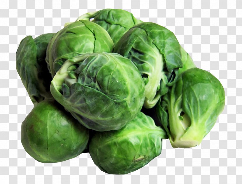 Brussels Sprout Vegetable Broccoli Sprouts Sprouting Food - Collard Greens Transparent PNG