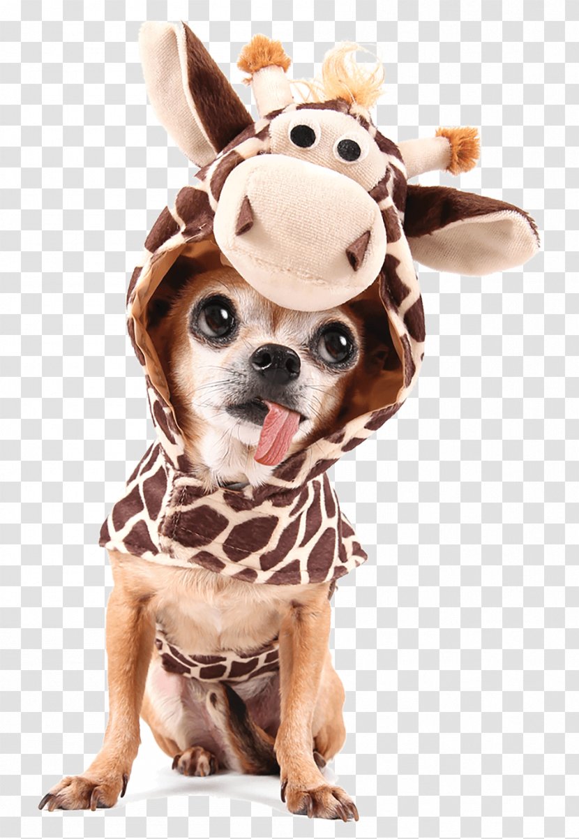 Chihuahua Giraffe Halloween Costume Stock Photography - Clothing Transparent PNG