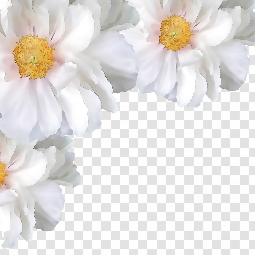 Rose Transparent PNG