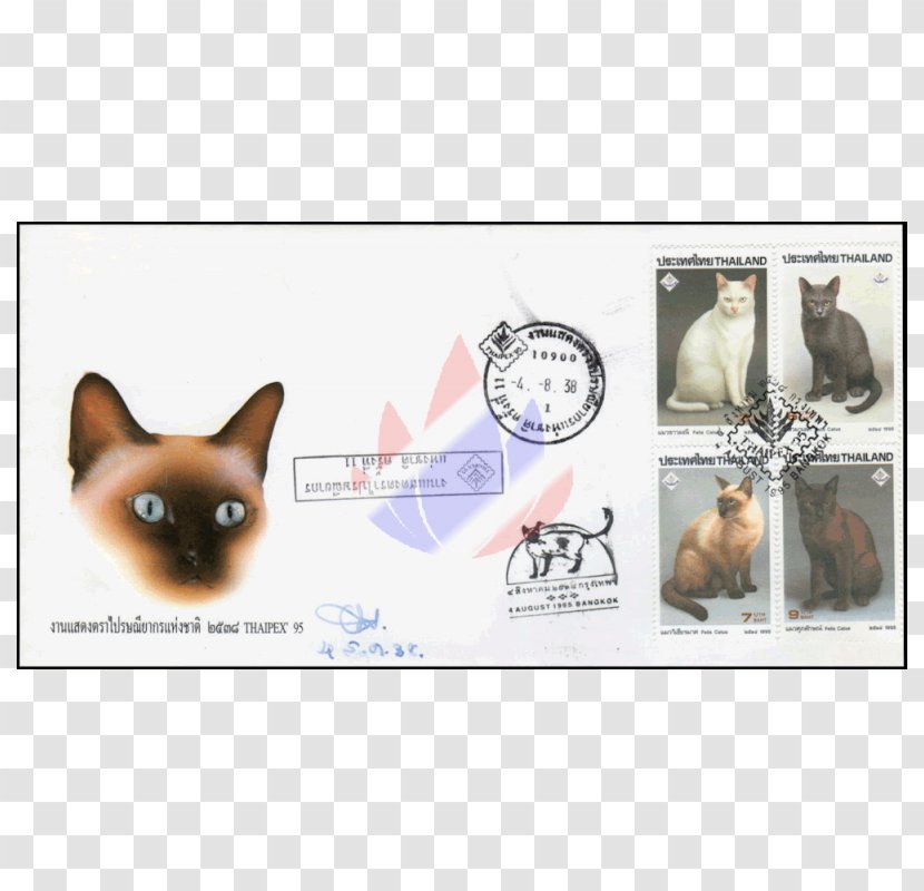 Dog Breed Puppy Khao Manee Leash - Cat Transparent PNG