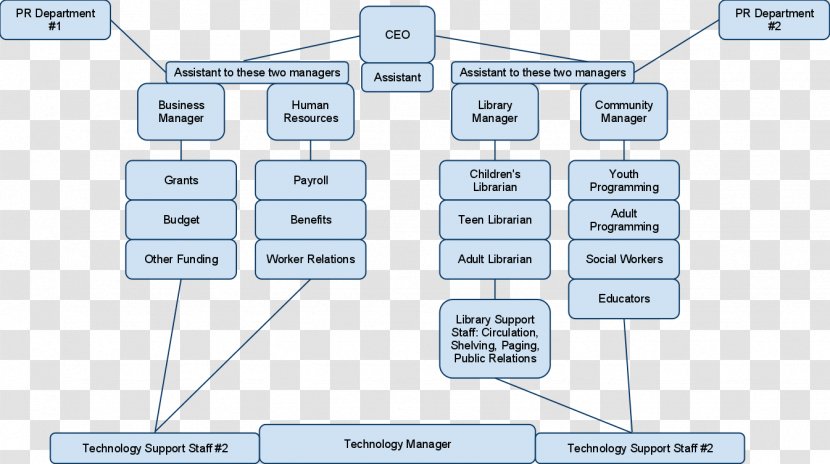 Organizational Chart Public Library Librarian - Management - Organization Transparent PNG