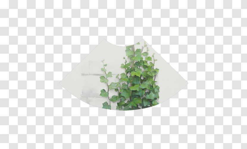 Vine Watercolor Painting Ivy Plant Art - Color Transparent PNG