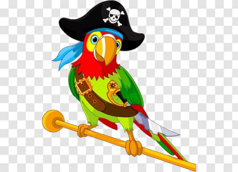 Pirate Parrot Vector Graphics Illustration Clip Art - Wing Transparent PNG