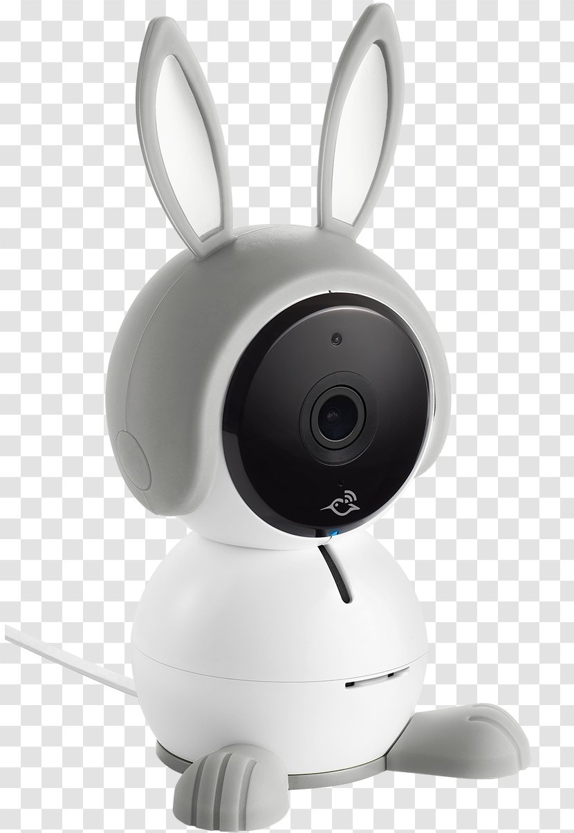 Baby Monitors Wireless Security Camera Netgear 1080p - Ip - Gray Rabbit Transparent PNG