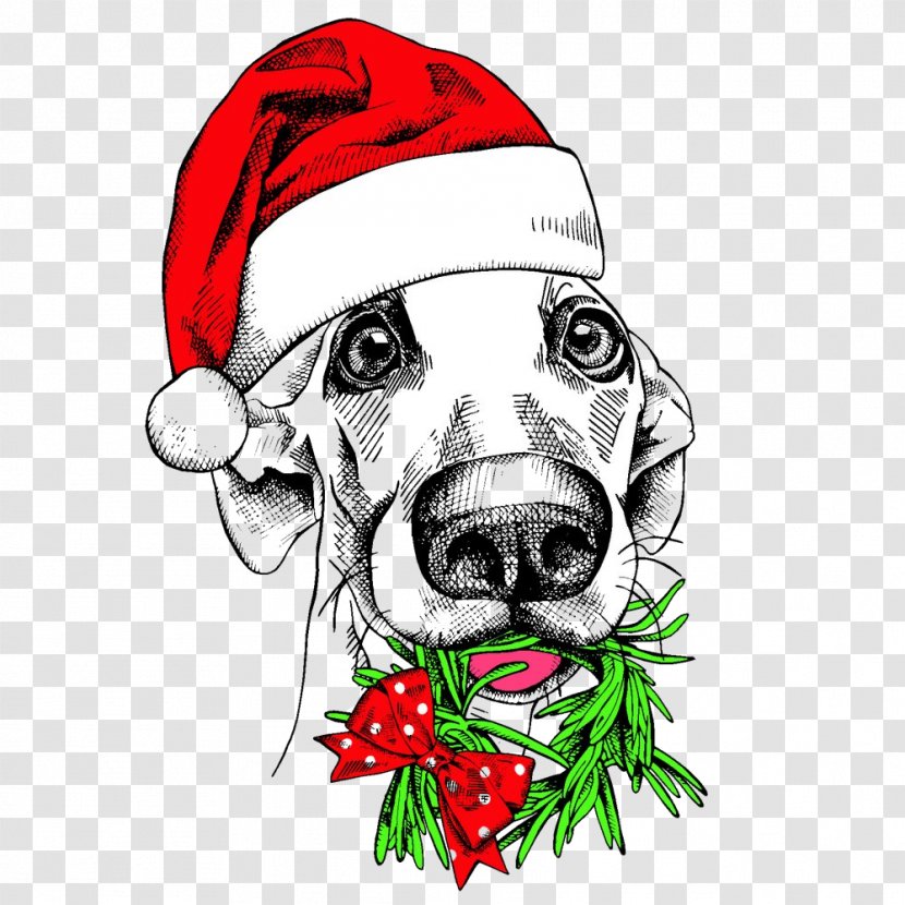 Dog Weimaraner Nose Cartoon Sporting Group - Labrador Retriever - Golden Dachshund Transparent PNG