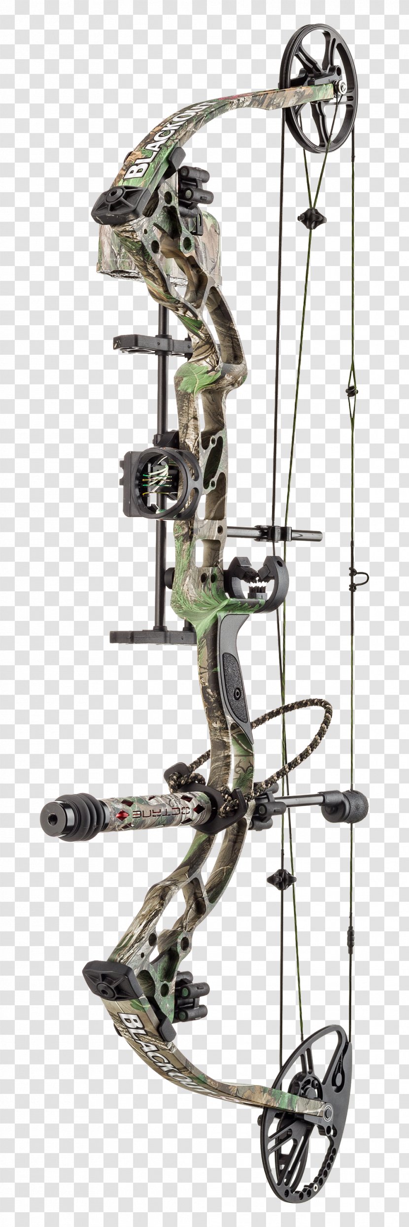 Compound Bows Bow And Arrow Bear Archery Bowhunting - Nikon Coolpix A - Bowhunters Superstore Transparent PNG