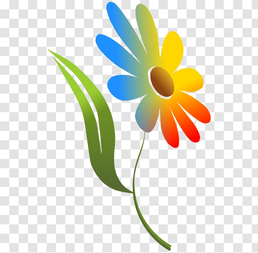 Clip Art Petal Plant Flower Chamomile - Pedicel - Gerbera Logo Transparent PNG