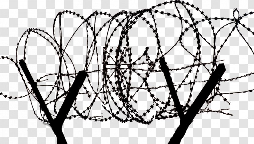 Barbed Wire Tape Concertina - Home Fencing - Tree Transparent PNG