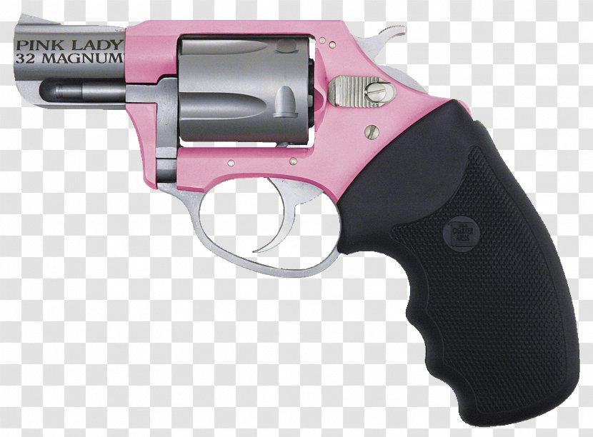 Revolver .38 Special Charter Arms Firearm Pistol - Gun Barrel Transparent PNG