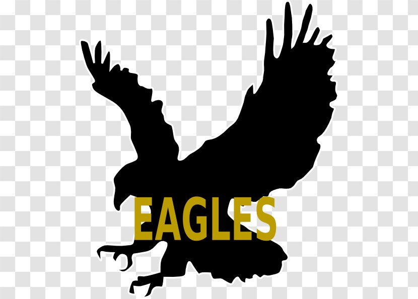 Bald Eagle Bird Silhouette Clip Art - Chicken Transparent PNG