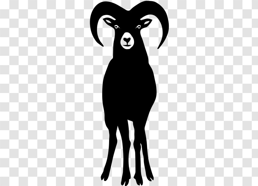 Sheep Goats Ovis Orientalis T-shirt - Mammal Transparent PNG