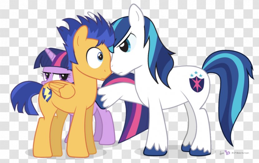 Twilight Sparkle Flash Sentry Rainbow Dash Pony The Saga - Cartoon - Youtube Transparent PNG