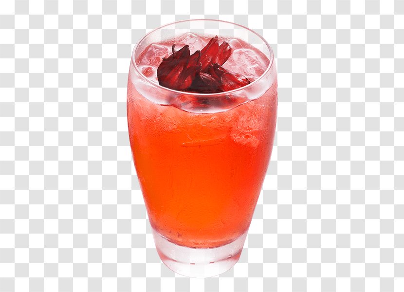 Bay Breeze Pomegranate Juice Tinto De Verano Woo Transparent PNG
