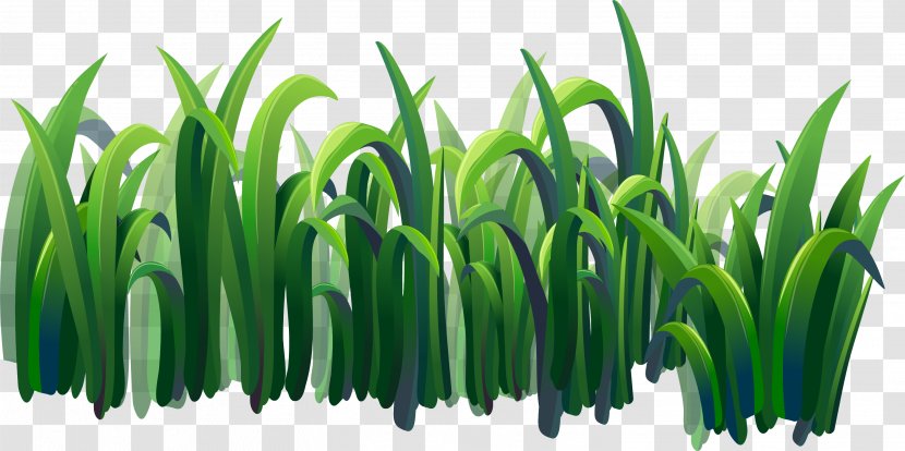 Illustration - Drawing - Green Grass Borders Transparent PNG