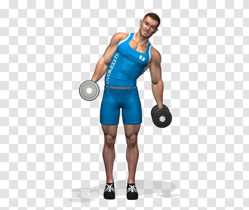 Dumbbell Biceps Curl Physical Fitness Centre Exercise - Flower - Twist Workout Transparent PNG