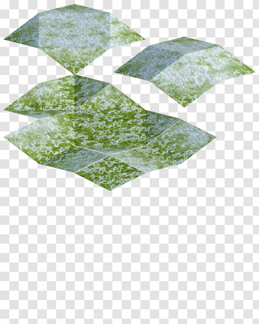 Green Leaf - Chang Transparent PNG
