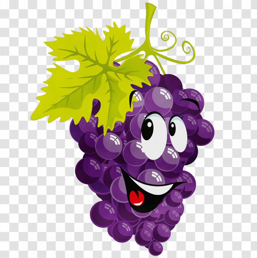 Grape Grapevine Family Purple Violet Vitis - Wet Ink - Smile Fruit Transparent PNG