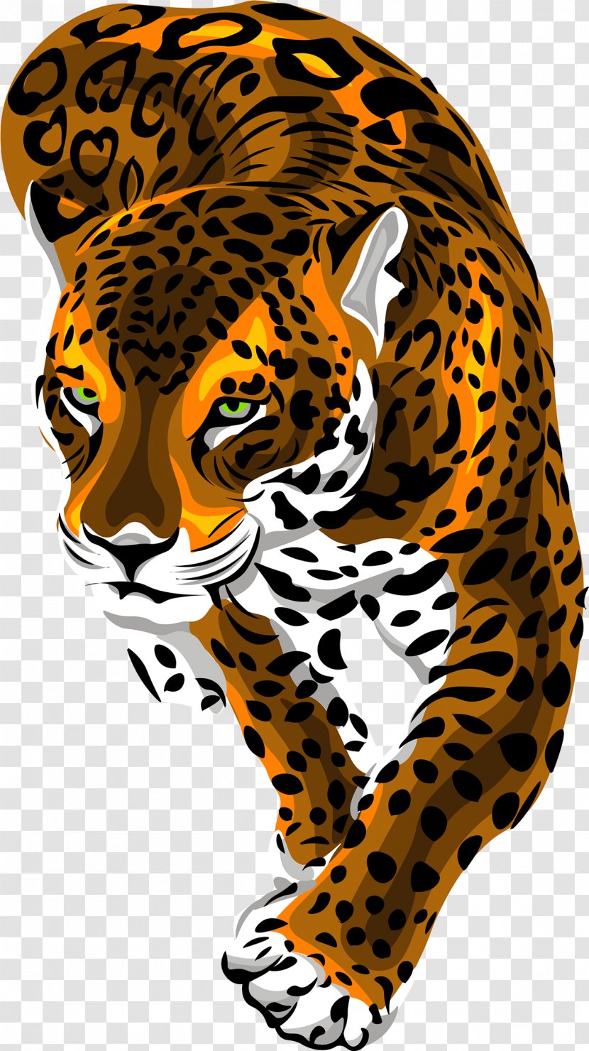 Wildlife Cheetah Jaguar African Leopard Small To Medium-sized Cats - Whiskers - Mediumsized Transparent PNG