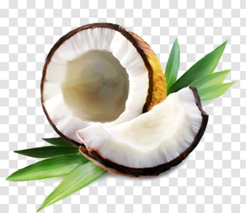Coconut Water Oil Milk - Fat Transparent PNG