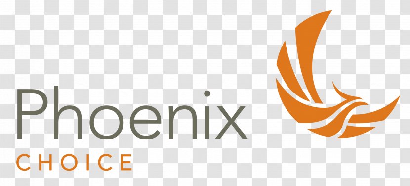 Logo Brand Product Design Font - Orange - Phoenix Pride Festival Transparent PNG