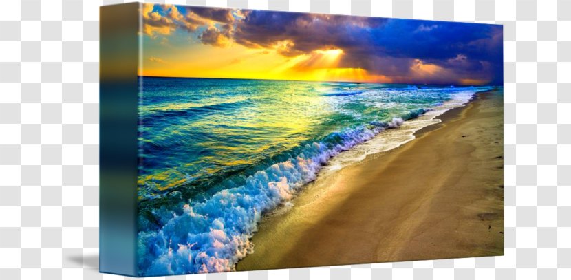 Body Of Water Sea Painting Resources - Flower - Beach Sunset Transparent PNG