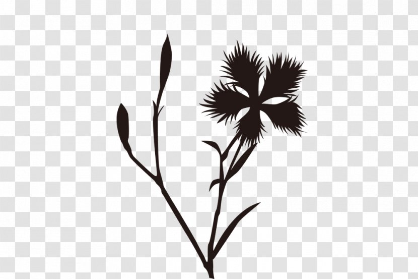 Twig Desktop Wallpaper Black Leaf Plant Stem - Monochrome Photography Transparent PNG