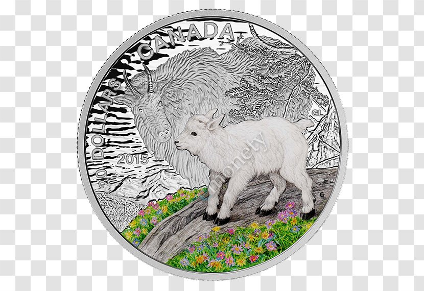 Sheep Canada Goat Silver Coin - Animal Transparent PNG