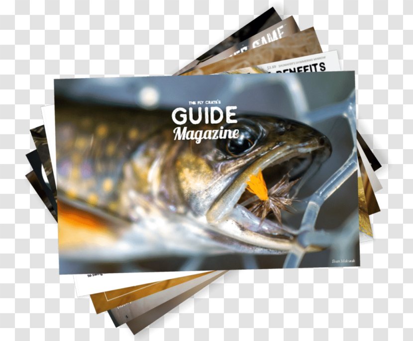 Trout Bum Fly Fishing The Box - Bull Streamers Transparent PNG
