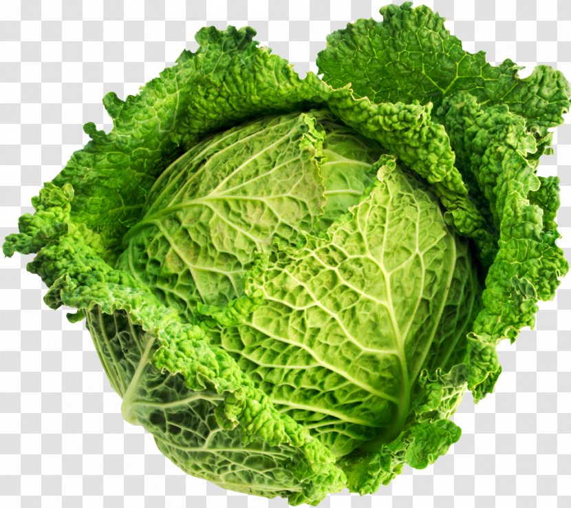 Savoy Cabbage Brassica Oleracea Var. Acephala Vegetable Variety - Price Transparent PNG