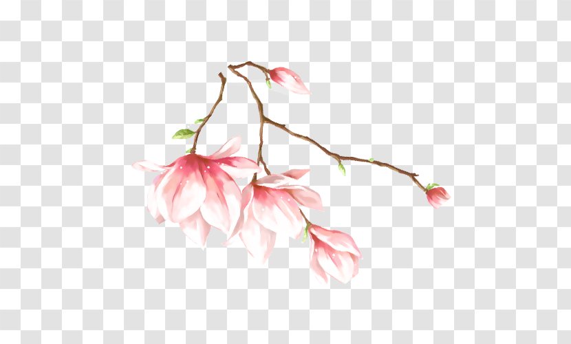 Graphic Design Vector Graphics - Cherry Blossom - Flowers For Transparent PNG