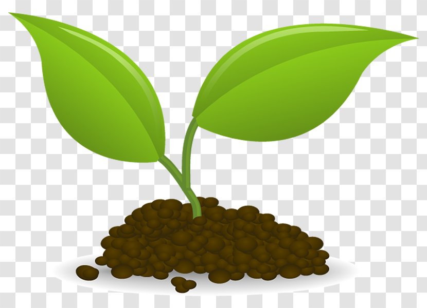 Plant Sowing Seedling Clip Art - Seed Transparent PNG