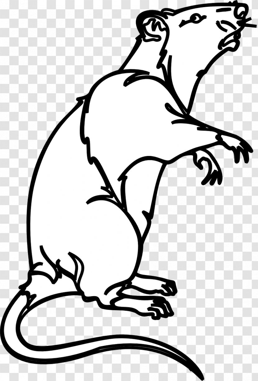 Black Rat Laboratory Mouse Bonthain Clip Art - Ferret Transparent PNG