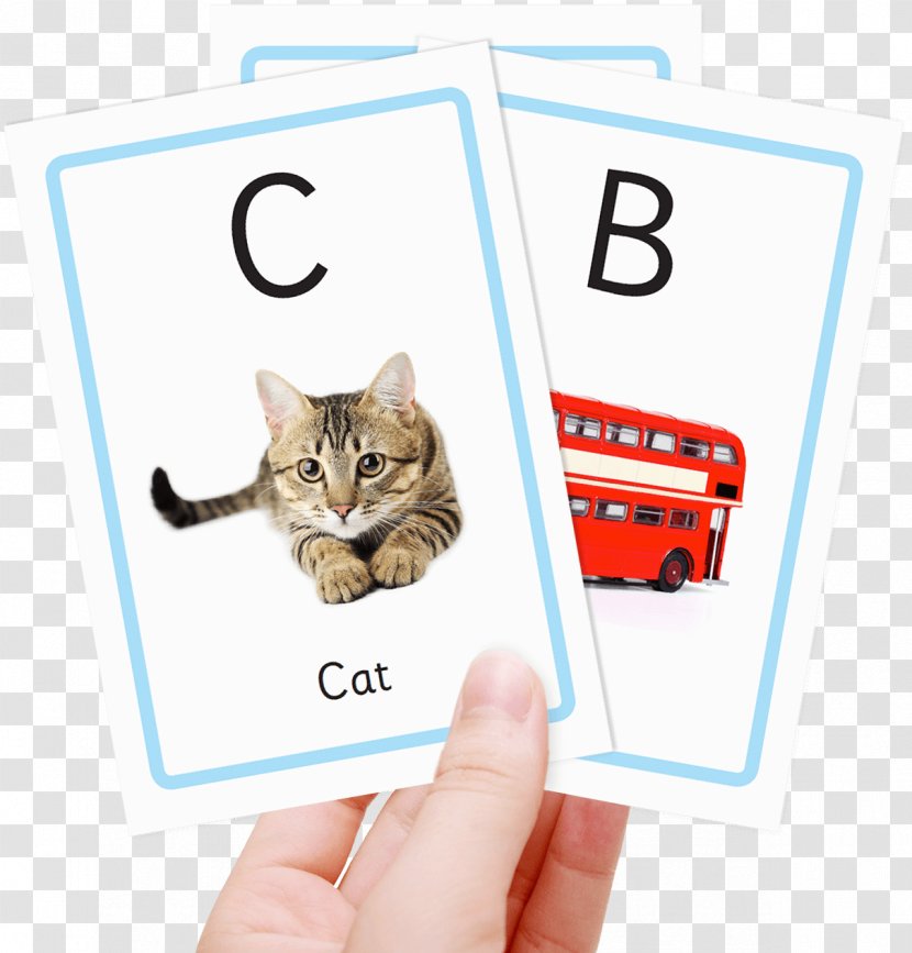 Flashcard Phonics Alphabet Child - Uppercase Letter Transparent PNG