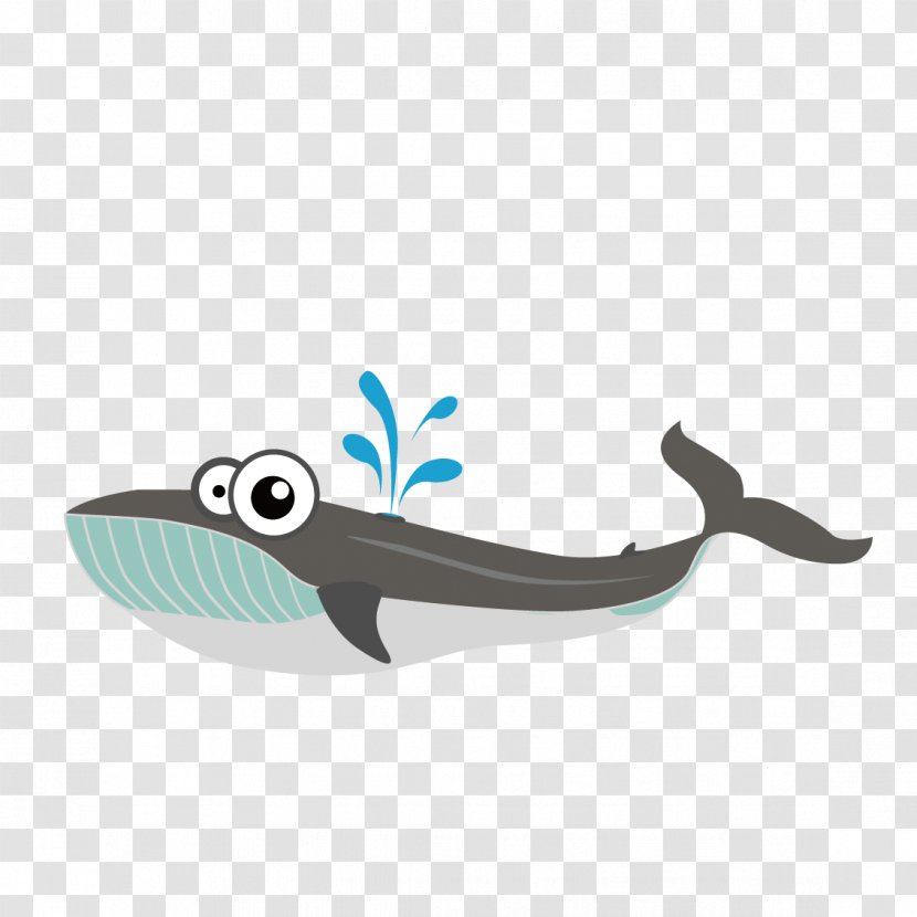 Cartoon Drawing Animal Clip Art - Vector Whale Transparent PNG